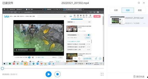 爆料视频录屏有声音吗,声音同步呈现，揭秘事件真相  第1张
